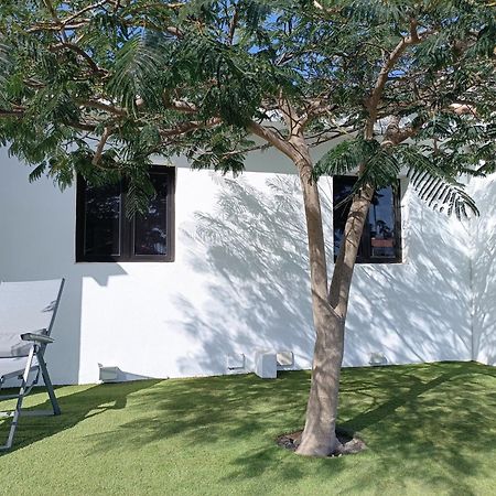 Cozy Colorado Pool View #3 Apartamento Maspalomas  Exterior foto